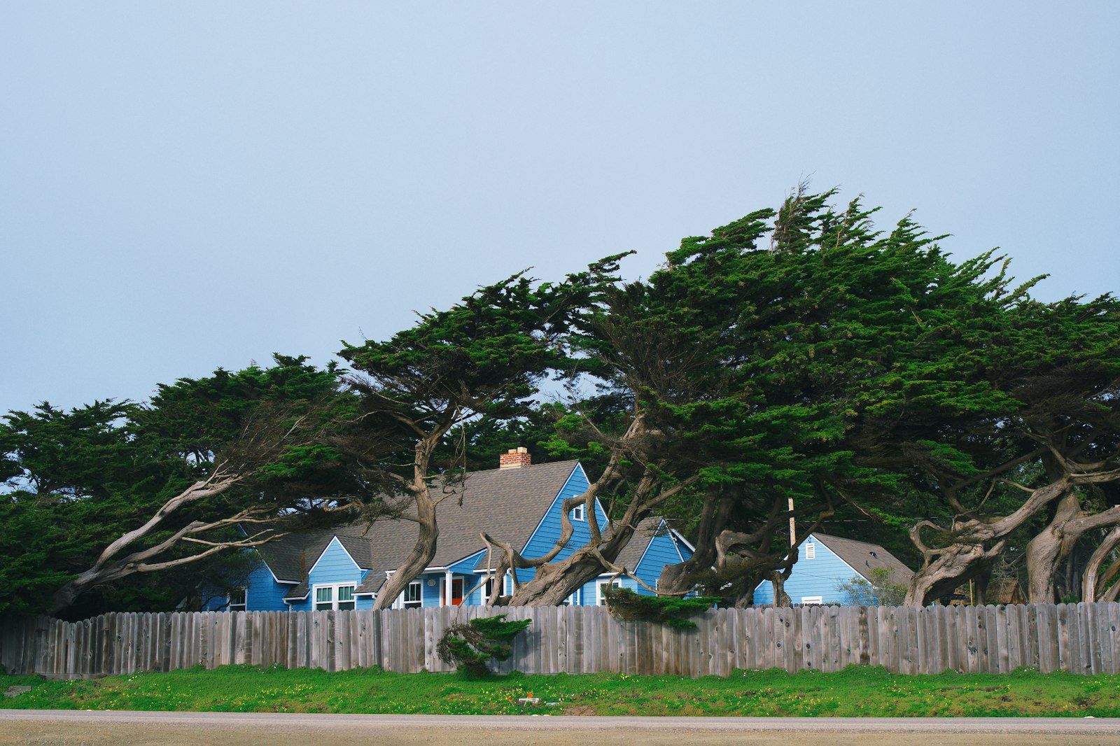 Green trees beside a blue and gray house under a partly cloudy sky.